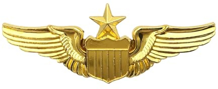 Pin de piloto, pin de alas de piloto, insignia de ala de piloto senior de la Fuerza Aérea dorada, pin de solapa de disfraz de piloto, pines de aviador de metal para sombrero, camisa y uniforme, Talla