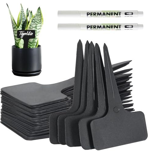 VEGCOO 120 placas para plantas al aire libre, 6 x 10 cm, tipo T, resistentes a la intemperie, tapones para plantas, de plástico, con 2 marcadores, placas negras para el nombre para verduras, frutas,