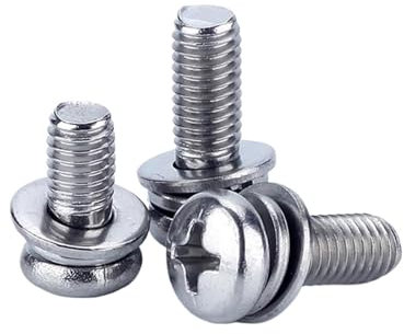 Aqxypas M1.6 Kreuzschlitz-Linsenkopfschraube mit Doppelscheiben, Mikroschraube aus Edelstahl 304, A021(M6x20-100 pcs)