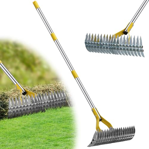 Thatch Rake,45 Inch Lawn Thatching Rake for Cleaning Dead Grass, 17 Inch Wide Heavy Duty 19 Teeth Steel Metal Rakes, Landscaping Raking Garden Tools for Lawn Care Loosening Leveling Soil Mulch