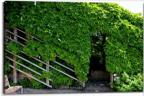 Canvas Wall Art for Living Room Bedroom The trellis tunnel covers the stairs the garden climbing plants cover Big Large Wall Art Decor Framed Painting Wall Pictures Prints Artwork 24x32in