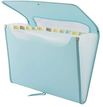 D.RECT 5590 Fächermappe Ordnungsmappe Erweiterbar Tragbar Aktenordner Dokumentenmappen, runder Gummizug mit Verschlussknopf, für Haus, Schule und Arbeitsreise12 Fächer A4 Pfefferminz