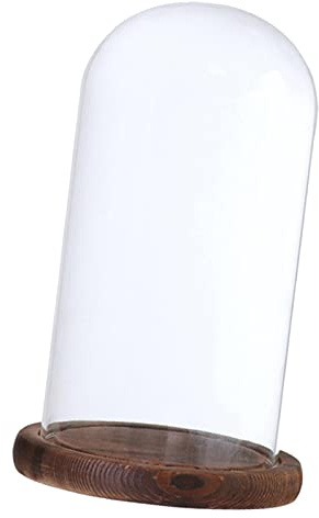 HomeDecTime Blumentopf aus Glas, transparent, glockenförmig, braun F