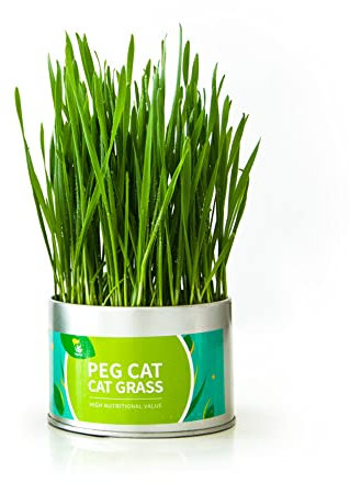 Aoun 2 PCS Organic Cat Grass Growing kit for Indoor Cats, Cat Grass Kit with Planter and Soil and Seeds, Great for Indoor or Outdoor Cat, Dogs and Other Pets. Prevent Hairballs and Aid Digestion