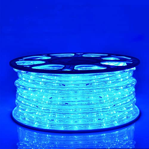 Herrselsam 20M 480 LEDs Lichterschlauch Außen Blau Lichtschlauch mit Memory-Funktion Lichterkette Aussen 8 Modi Strombetrieben Wasserdicht für Innen Außen Party Hochzeit Weihnachten