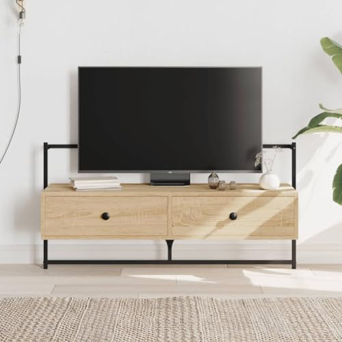 TV-Wandschrank, Sideboard TV Lowboard Couchtisch TV Aufsatz Mit Stauraum Geeignet für Hotel Wohnung Büro Sonoma-Eiche 100.5 x 30 x 51 cm Holzwerkstoff