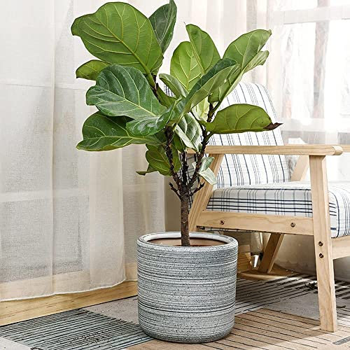 macetero Grande para Interiores y Exteriores, macetero para árboles de 11 Pulgadas, contenedor para maceteros con Orificios de Drenaje, maceteros de cerámica para el Suelo
