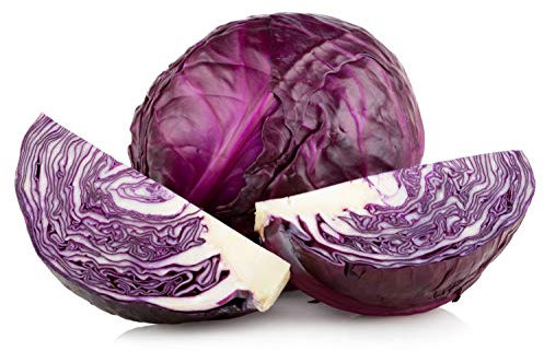 250 Graines de Chou Rouge - plantes jardins potager légumes - semences paysannes reproductibles - SemiSauvage