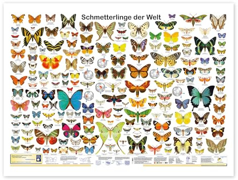Posterlounge Schmetterlinge der Welt Poster | 40 x 30 cm von Planet Poster Editions Bunt Wandbilder Wanddeko