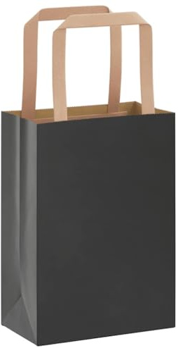 vidaXL Papiertragetaschen 250 Stk., Papiertüten mit Henkeln, Kraftpapiertüten, Geschenktüten für Einkaufen Hochzeiten Verpackungen Partys Geburtstag Weihnachten, Schwarz 15x8x21cm