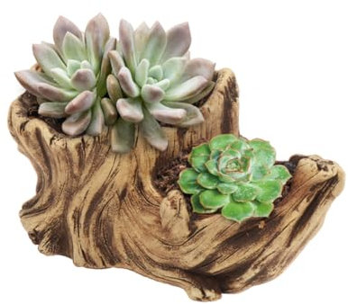 SOIMISS Blumentopf Aus Zement Mit Zwei Fächern Originelles Stumpfbecken Pflanzentopfhandwerk Sukkulententopf Retro-Design Für Heimdekoration Und Büroumgebung Leichte Und Tragbare