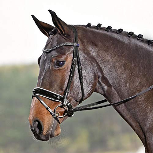Busse
