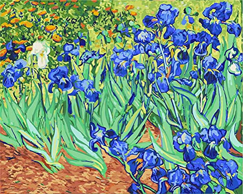 Meecaa Malen nach Zahlen Irisblume Picasso Kit für Erwachsene Anfänger DIY Ölgemälde 40,6 x 50,8 cm (Blume, kein Rahmen)
