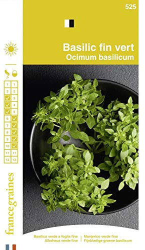 France Graines - Basilic Fin vert