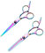 Ciseaux De Coiffure 2 Pièces, Outils De Coiffure, Accessoires De Coupe De Cheveux, Ciseaux En Acier Inoxydable, Outils De Réparation De Cheveux, Ciseaux Durables