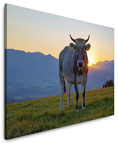 Paul Sinus Art Kuh im Allgäu 40 x 60 cm Inspirierende Fotokunst in Museums-Qualität für Ihr Zuhause als Wandbild auf Leinwand in