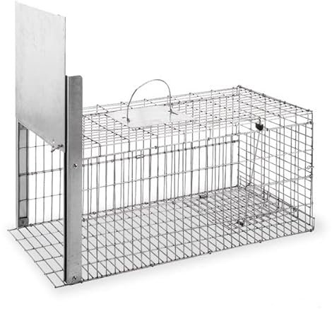 Jaula Trampa Caza Plegable GALVANIZADO, Ideal para Gatos, Zorros, MARTAS, GARDUÑAS, GINETAS 370 X 750 X 340 h