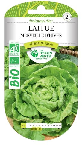 Graines laitue merveille d'hiver BIO Les Doigts Verts