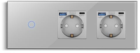 CNBINGO Interruptor de luz táctil con doble enchufe con puertos USB (tipo C y tipo A 3,1 amp total) – Enchufe USB Schuko empotrado – Interruptor de pared de cristal simple en Gris – 1 vía