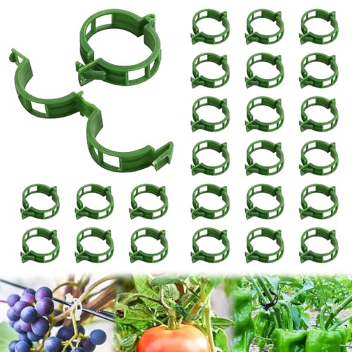 200 Stück Pflanzenclips Kunststoff Pflanzenklammern für Kletterpflanzen, 2025 Wiederverwendbare Pflanzenklammern für Tomaten, Trauben, Reben, Gurken, Gartenklammern Innen Außeneinsatz (200, Grün)
