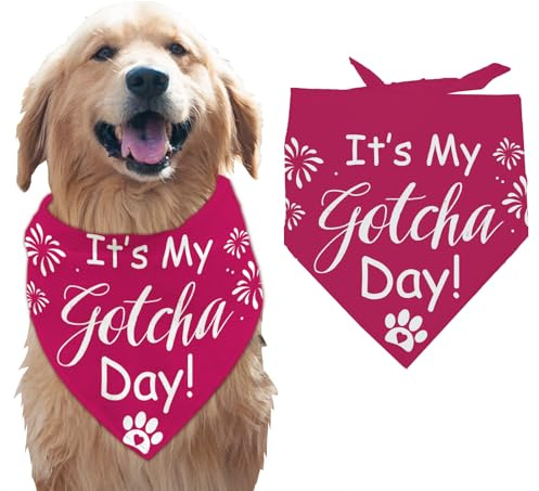 arricraft 1 Stück Haustier Hundehalstuch Dreieckiges Haustier Halstuch Aus Rosa Baumwolle Mit Der Aufschrift „It's My Gotcha Day“ Waschbar Schal Lätzchen Bedrucktes Zubehör Hundehalstuch Für Große