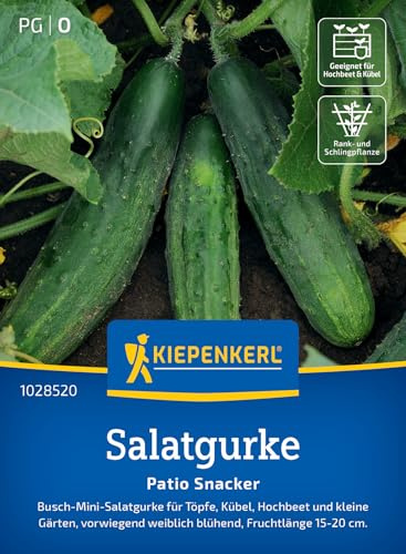 Kiepenkerl Salatgurkensamen Patio Snacker 1028520, Gemüsesaat | Kompakte Gurkensamen für kleine Gärten, als Snack oder in Salaten, frische bitterfreie Gurken, Wuchshöhe 80-90 cm