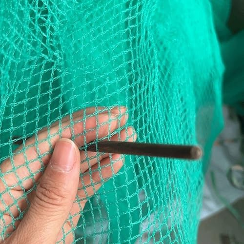 Filet Anti-grêle Anti-Insecte Polyéthylène pour Potager Arbre Fruitier, Filet de Protection - Anti Oiseaux pour Jardin Poulailler Bassin, Resistant, RéUtilisable, 10x10M(1x10m)