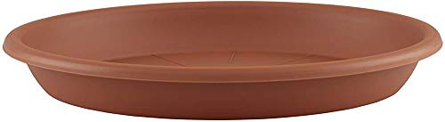 ARTEVASI Soucoupe Ronde 55CM TERRECUITE, Terracotta, Large