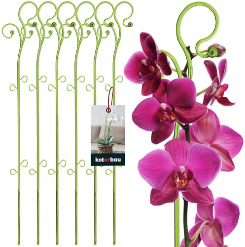 KOTARBAU® Set med 6 växtstöd grön PVC 58 cm blomstöd växtstöd inomhusväxter blomstöd trädgård orkidépinne stödstång växter dekorativa växthållare inomhusväxter rankstavar