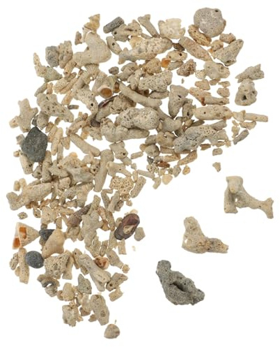 BESPORTBLE 1 Fish Tank Coral Filters Crushed Coral for Freshwater Aquarium Plant Aquarium gravel Fish Tank Cleaner Crushed Coral for Aquarium Canister Sand Coral Bone