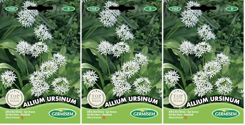 Germisem Bärlauch, mehrfarbig, EC1125 (Packung mit 3)