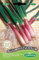Germisem Allium Fistulosum Semillas de Cebollino Rojo 2 g, EC1105