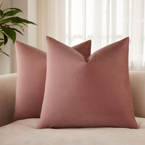 JUSPURBET Couch Pillow Covers Set of 2 Decorative Velvet Throw Pillow Covers Cases for Living Room Bedroom Home Decor Soft Cushion Covers Cases with Hidden Zipper for Sofa Bed 18x18 inch,Jam