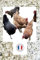 19KG Écailles de Coquilles d’Huîtres – Aliment Minéral pour Volailles – Source de Calcium Naturel – Poules, Cailles, Pintades –Fabriqué,conditionné en France - Utilisable en Agriculture Biologique