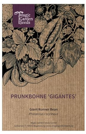 Fagioli giganti greci Gigantes (Phaseolus coccineus) circa 20 semi