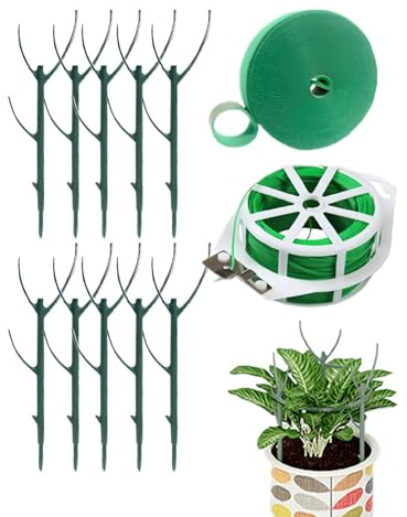 collectrices Individuelles - Support de pour Monstera, Pothos, Philodendron | Tuteurs de empilables pour Fleurs et Soutenir Le Jardin à l'intérieur