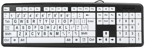 BRRNOO Bakgrundsbelyst Tangentbord med Stort Tryck, Tangentbord i Full Storlek USB-Kabelanslutet Datortangentbord Svart Datortangentbord med Kabelanslutet Usb- för Synskadade, Gamla Människors (Svart)