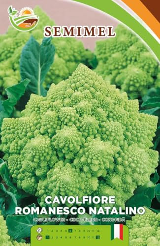 Cavolfiore Romanesco Natalino- Semi di Cavolfiore Tardivo a Forma Geometrica, Verde Brillante, Pianta Resistente e Vigorosa 2 confezioni