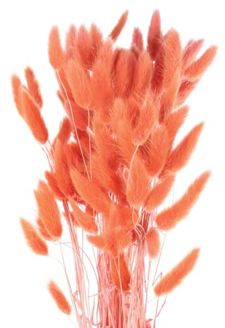 QUARKZMAN 120 Stück Natürliche Kaninchenhäschen-Schwänze Getrocknete Blumen 24 Mini-Pampasgras Lagurus Ovatus Bündel für Florale Hochzeitsdekoration Weihnachten, Orange