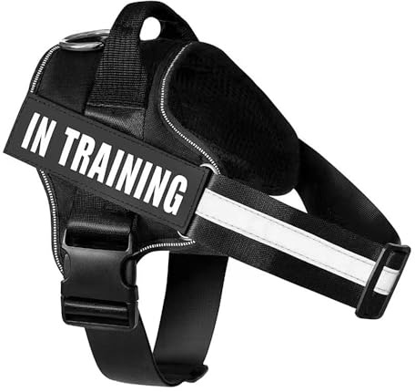 FDEETY Harnais pour Chien Anti Traction Réglable Ceinture de Poitrine avec Attache Devant Boucle Facile à Mettre Réfléchissant Randonnées Chasse Arnet Harnais pour Petit Moyen Grandes (L)