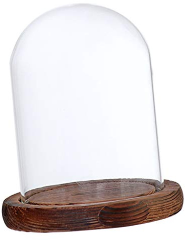Fenteer Glashaube Glasglocke Glassturz mit Holzboden DIY Landschaften Fairy Garten Terrarium, Braun B