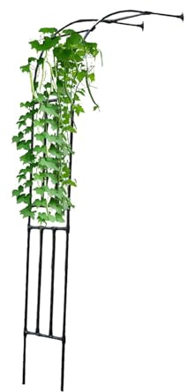 Halber Rosenbogen,Torbogen Rankgitter Metall,Gartenbogen Für Kletterpflanzen,Rosen Spalier Gegen Die Wand,Rosenbögen Rankhilfe,Rankbogen Pergola,Breite 90/180/200/300cm,Schwarz(HxBxT: 240 x 60 x 40 cm