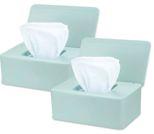 2 Stück Feuchttüchter Box,Kunststoff Feuchttücher Spender, Aufbewahrungsbox für Feuchttücher,Servietten Box mit Deckel,Tissue AufbewahrungskofferToilettenpapier Box,Baby Tücher Fall