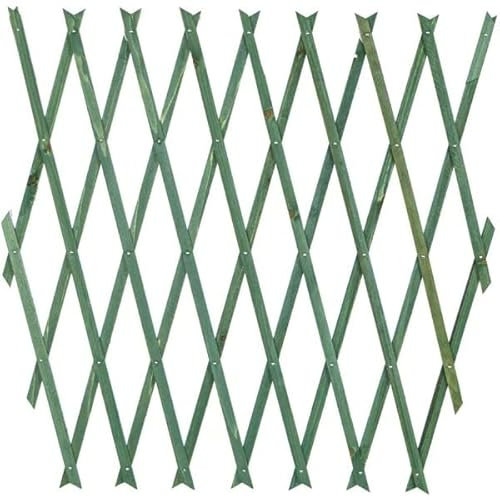 OISE ART STORE Trade Shop Treillis extensible en bois vert pour mur de jardin plantes 100 x 200 cm