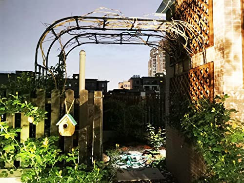 JHLP Metal Gazebo Plant Support Archway - Half-arch Garden Trellis Arch Roses Climbing Arch, Weatherproof Garden Arbor Pergola, Wedding Arch Decoration - 20mm Thickened Pipe Diameter