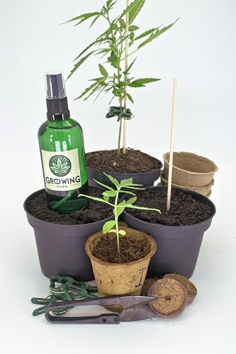 Growing Corp. Cannabis Anbau Starter-Kit/Set für drei Gras/-Weed Pflanzen inkl. Anbauanleitung und Zubehör 18-teilig