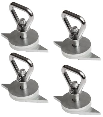 040 Parts Set di 4 Occhielli di Fissaggio per Carico VW T7, Multivan California, Ford Tourneo Custom e Altri.