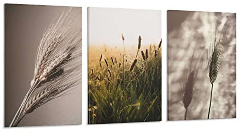 Póster de 3 paneles para plantas de trigo con paja de trigo y hierba de puesta del sol y arte de la pared, impresión moderna de la decoración del dormitorio familiar de 30 x 45 cm