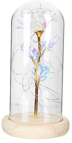 Alipis 1 Pc Couvercle en Verre Fleur Stabilisée dans Un De Verre Lumière Rose Enchantée Décor De Table De Mariage Ornement Rose Sortir Ensemble Blanche La Un Veilleuse