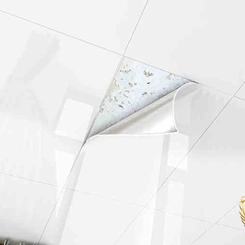Dalle de plafond Dalles De Plafond Suspendu - 5, 10, 15 Ou 20 Pièces - Panneaux Imperméables Et À Monter Soi-même Pour Décoration Murale Intérieure - Couvre-plafond Auto-adhésif(C,5 pcs)